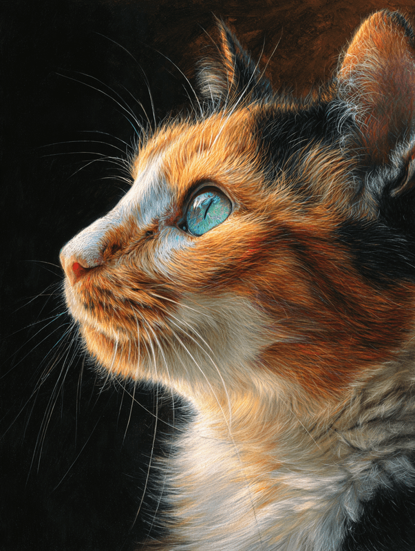 Calico Cat Portrait Canvas Print Wall Art f…