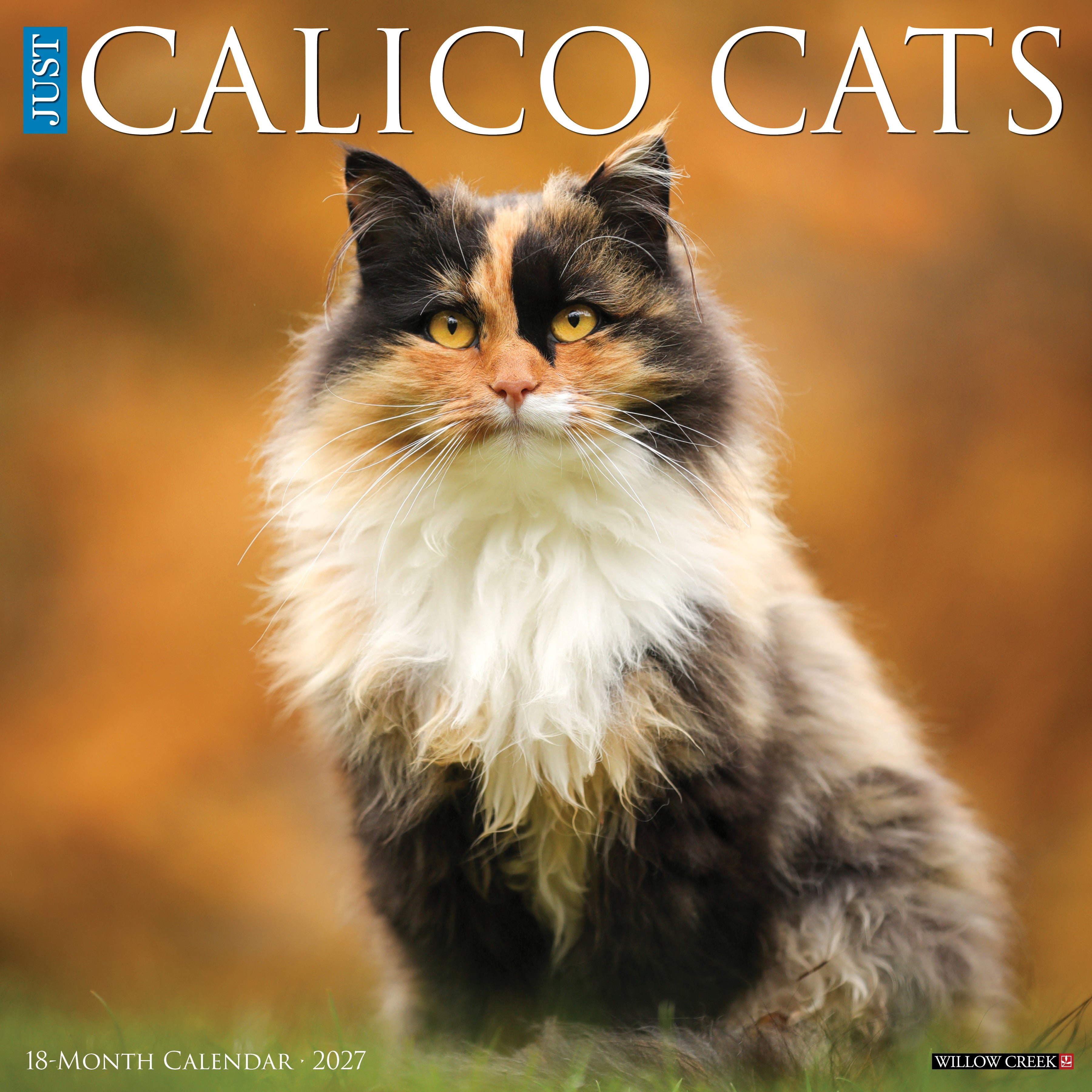 Willow Creek Press, Calico Cats 2027 Wall Calendar