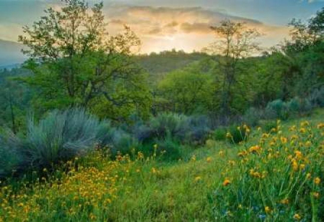 Caliente Spring I Canvas Art - Mark Geistweite (20 x 28)