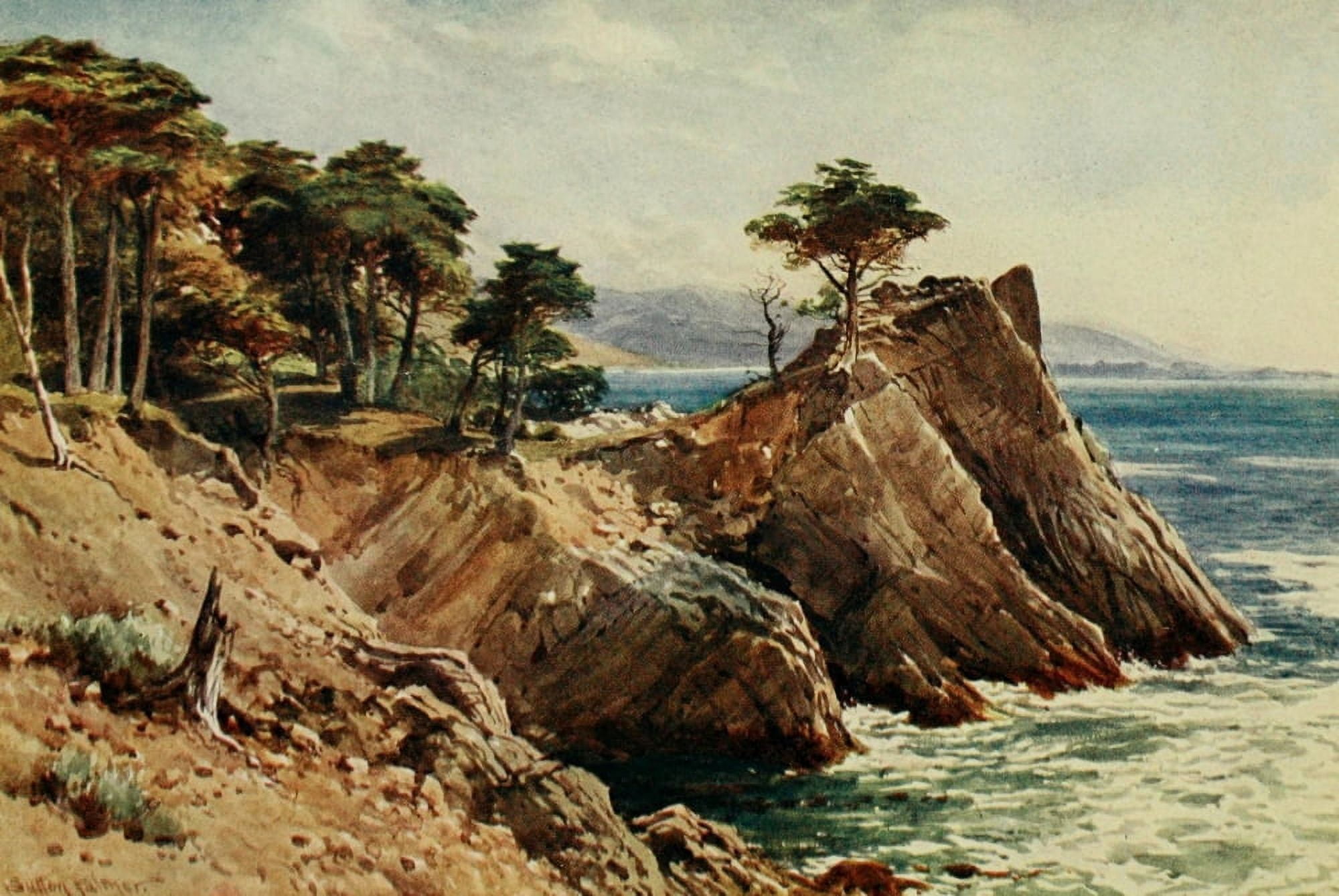 California 1914 Cypress Point near Carmel Canvas Art - H Sutton Palmer (24 x 36)