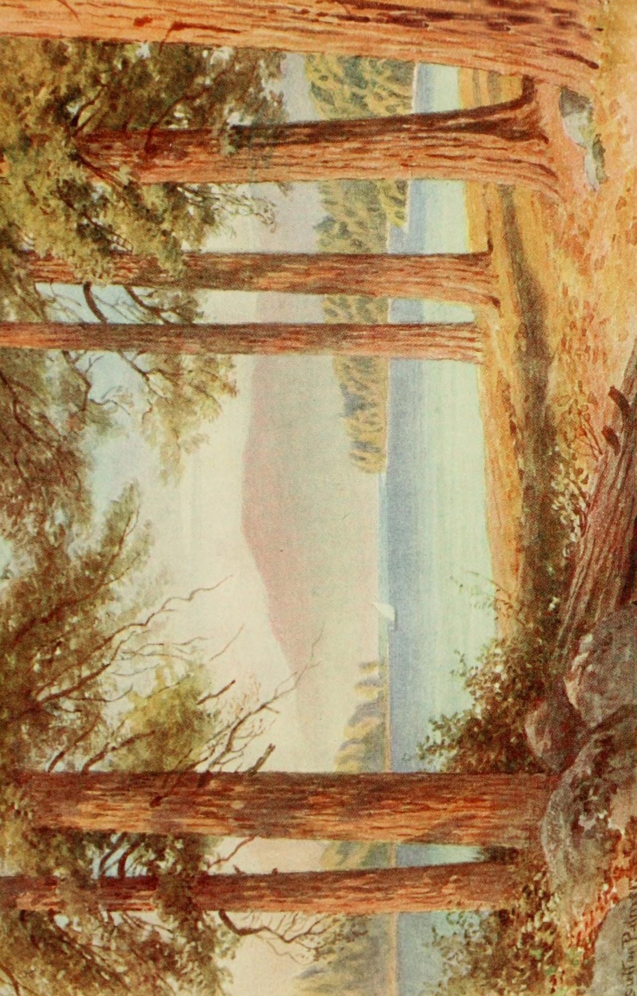 California 1914 Lake Tahoe Canvas Art - Harold Sutton Palmer (24 x 36)