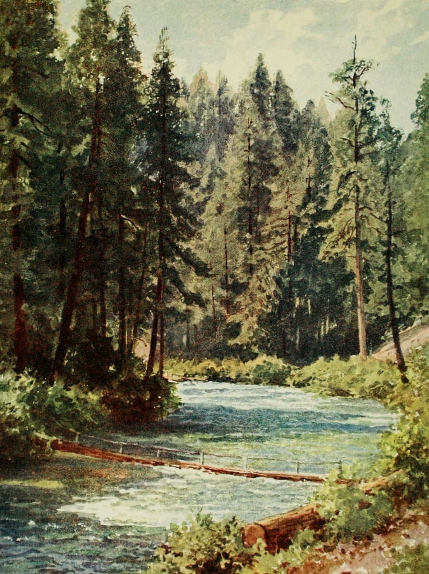 California 1914 McCloud River Sacramento Valley Canvas Art - H Sutton Palmer (24 x 36)