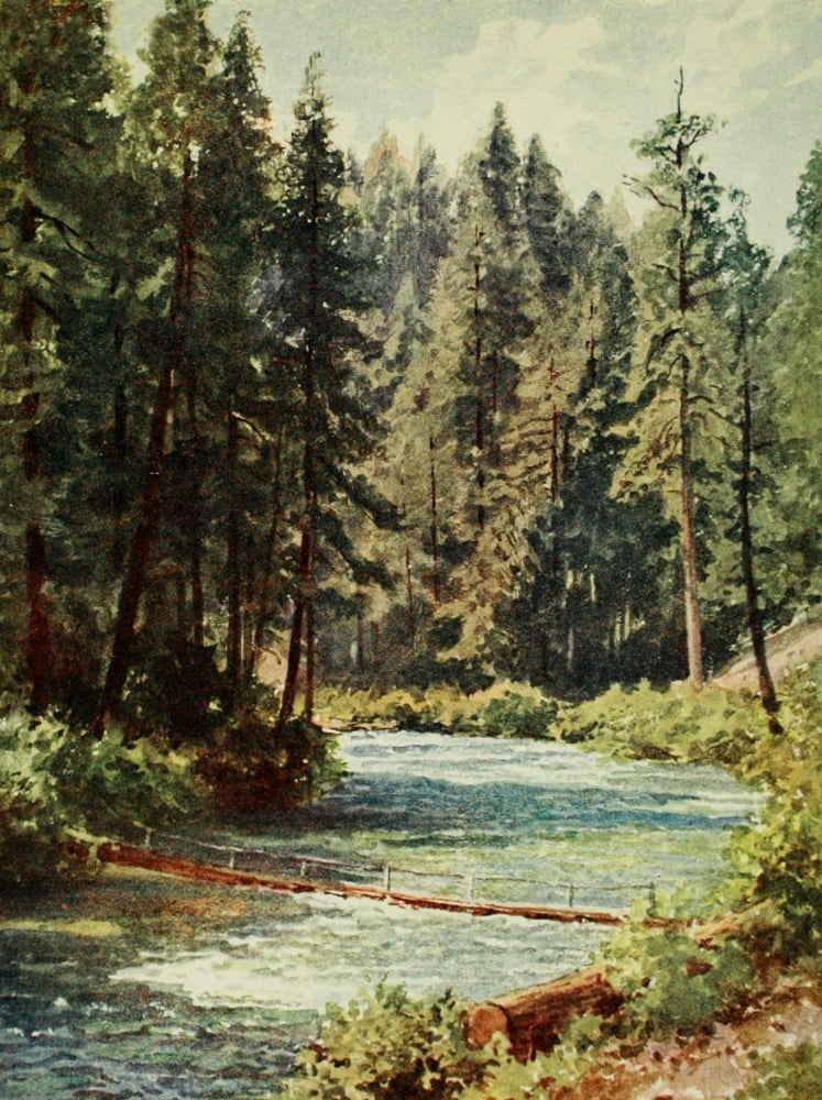 California 1914 McCloud River Sacramento Valley Canvas Art - Harold Sutton Palmer (24 x 36)