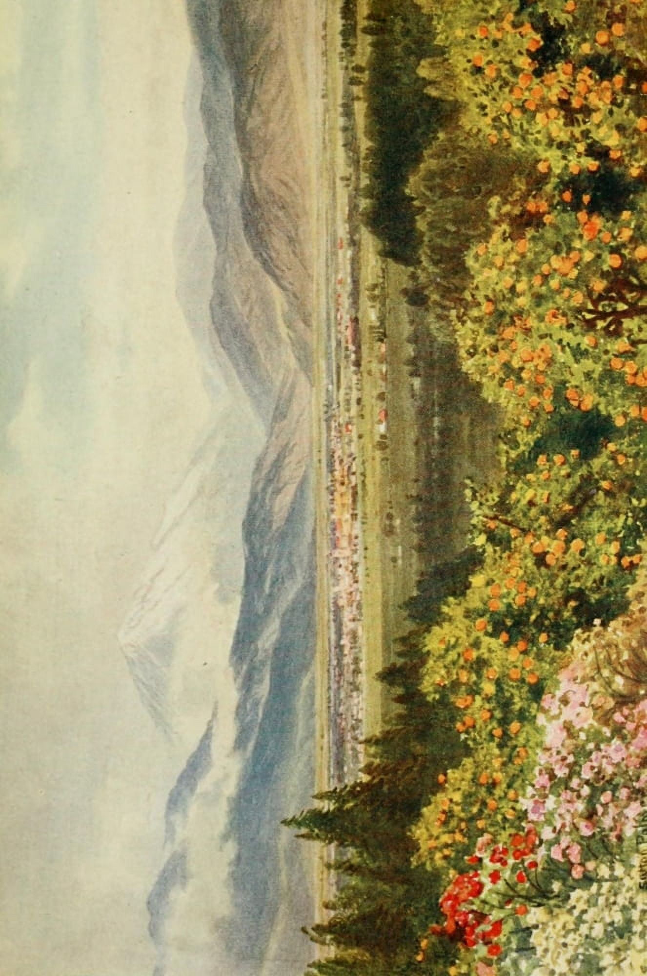California 1914 Redlands looking towards San Bernardino Range Canvas Art - Harold Sutton Palmer (18 x 24)
