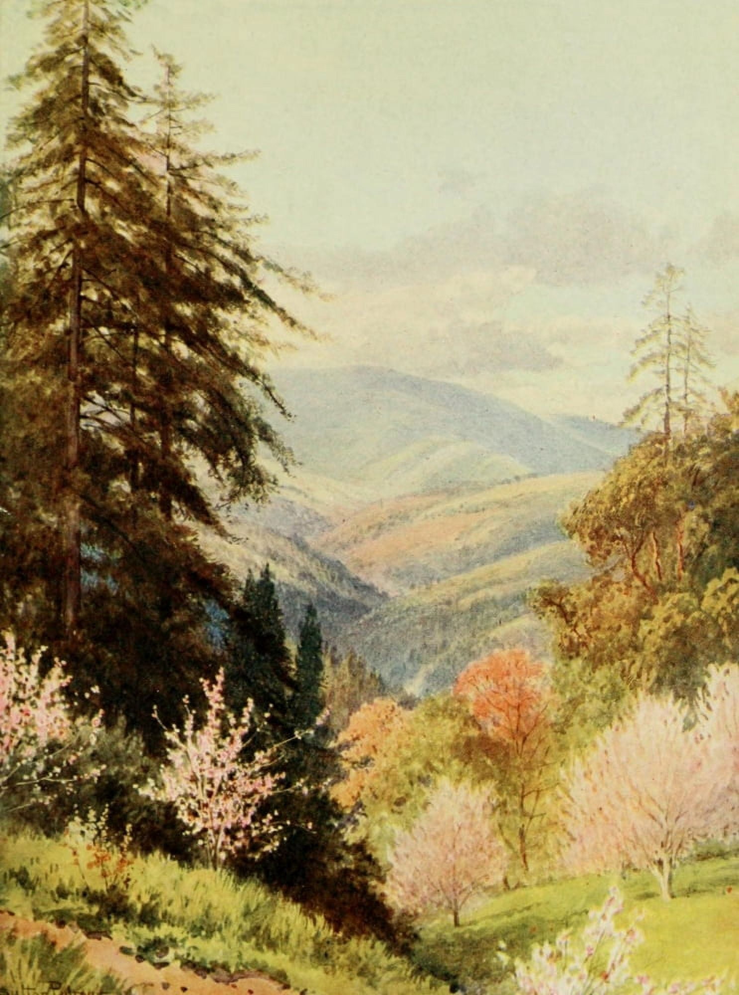 California 1914 Santa Cruz mountain the coast range Canvas Art - H Sutton Palmer (24 x 36)