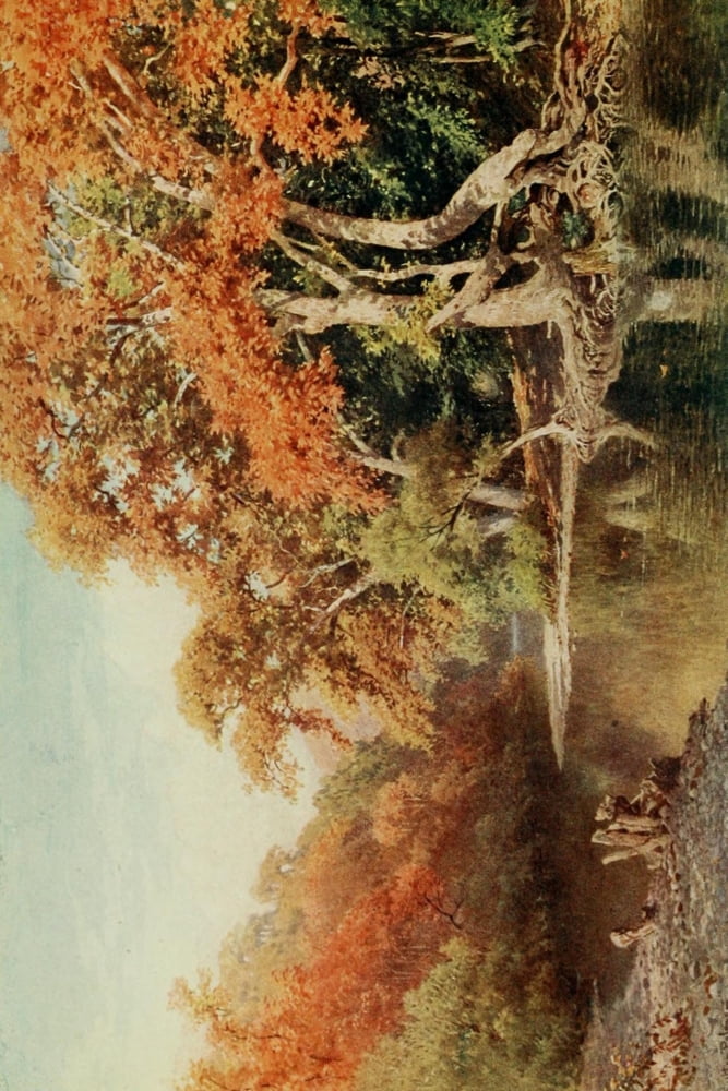 California 1914 Sycamores a coast range canyon Canvas Art - Harold Sutton Palmer (18 x 24)