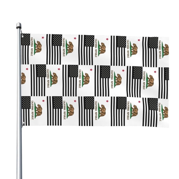 California America Flags Flag 4x6 Ft Big Flag For Outdoor Indoor Office Workplace Home Garden