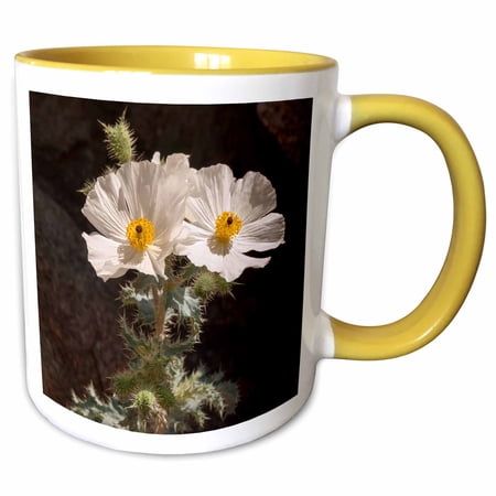 3drose, California, Anza-borrego Desert State Park. Prickly Poppy, 11oz Two-tone Yellow Mug