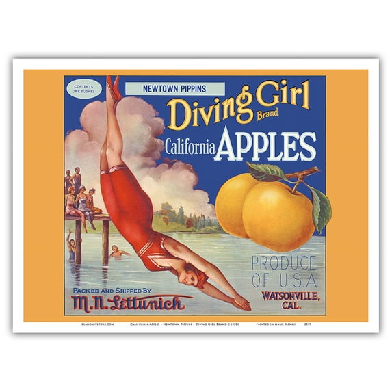 California Apples - Newtown Pippins - Diving Girl Brand - Vintage Fruit Crate Label c.1920s - Master Art Print (Unframed) 9in x 12in