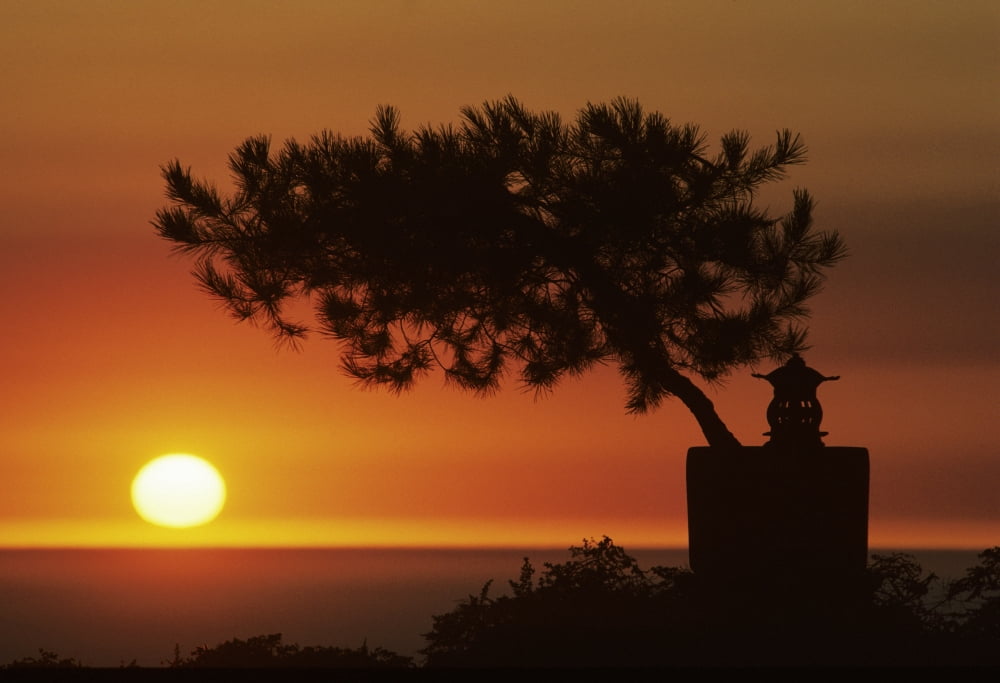 California Big Sur Coast Silhouetted Cypress Tree On Hillside Overlooking Ocean Sunset On Horizon Canvas Art - Larry Dale Gordon Design Pics (17 x 12)