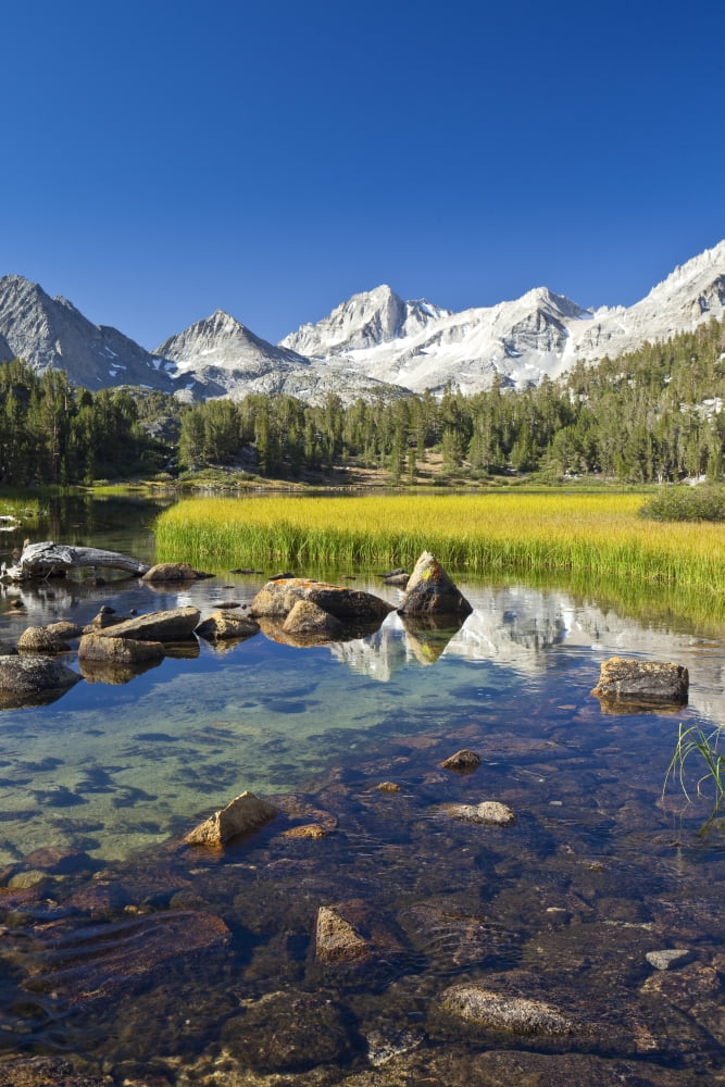 California Bishop Little Lakes Valley Beautiful scene in the Eastern Sierras Canvas Art - MakenaStockMedia  Design Pics (11 x 17)