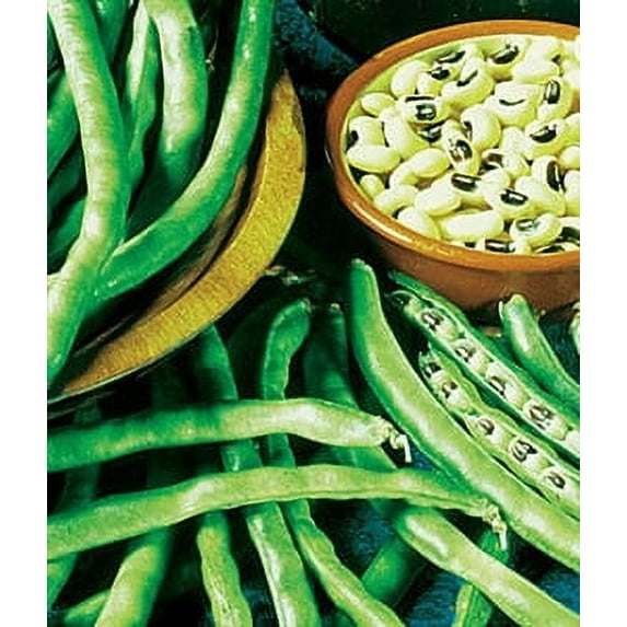 Seed Ranch California Blackeye Cowpeas Plant Seeds, Heirloom