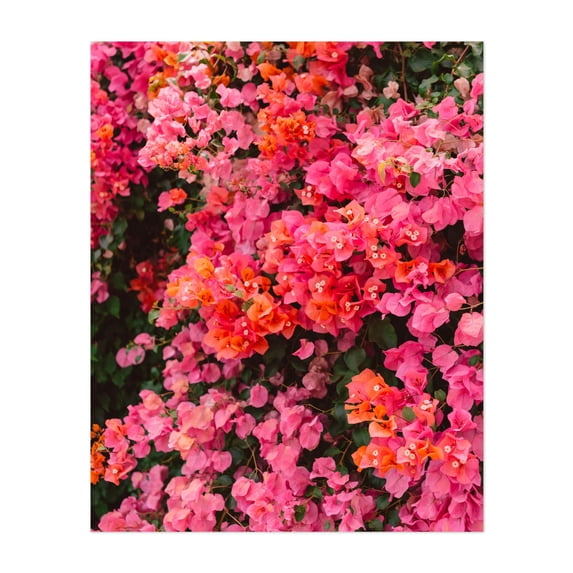 California Blooms - Los Angeles California Photography Floral Flowers Botanical Nature Tropical Scenic Pastel Unframed Wall Art Print 40 x 60 inches