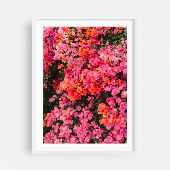 California Blooms - Los Angeles California Photography Floral Flowers Botanical Nature Tropical Scenic Pastel White Framed Wall Art Print 6 x 8 inches