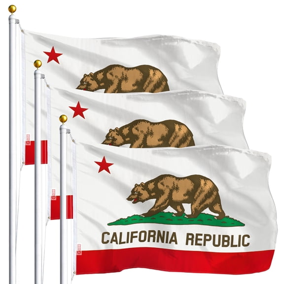 California CA State Flag 3x5FT 3-Pack Printed Polyester By G128