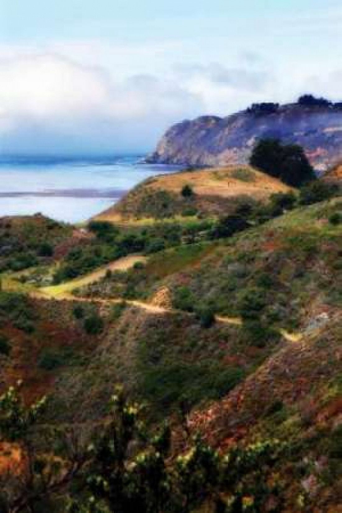 California Coast II Canvas Art - Alan Hausenflock (24 x 36)