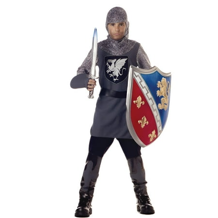 California Costume Collections Valiant Knight Boy's Halloween Fancy-Dress Costume for Child, L