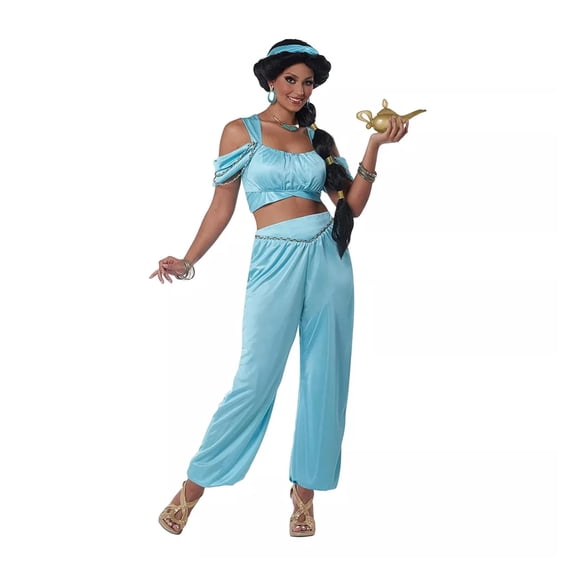 California Costumes Classic Arabian Princess Adult Costume | Small Female