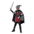 thumbnail image 1 of California Costumes Dragon Rider Child Costume | Medium Unisex, 1 of 2
