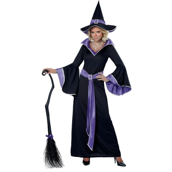 California Costumes Incantasia Glamour Witch Women's Halloween Fancy-Dress Costume for Adult, S (6-8)
