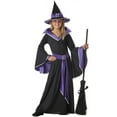 thumbnail image 1 of Incantasia The Mystical Magical Witch Girl's Costume Large 10-12, 1 of 2