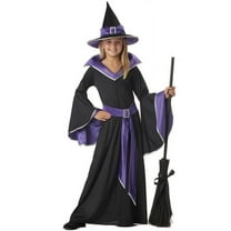 California Costumes Incantasia The Glamour Witch Child Costume (8-10)