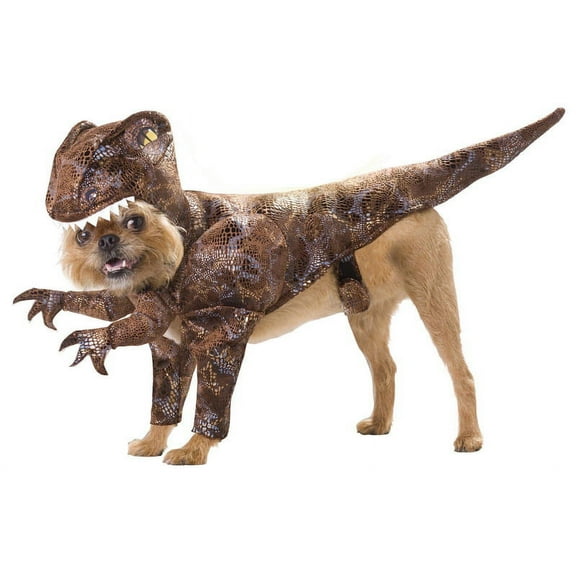 California Costumes PET20109XS Animal Planet Raptor Pet Costume, X-Small