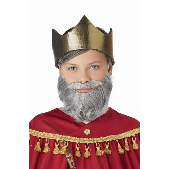 California Costumes Wise Man Beard Moustache Gray Halloween Costume Facial Hair