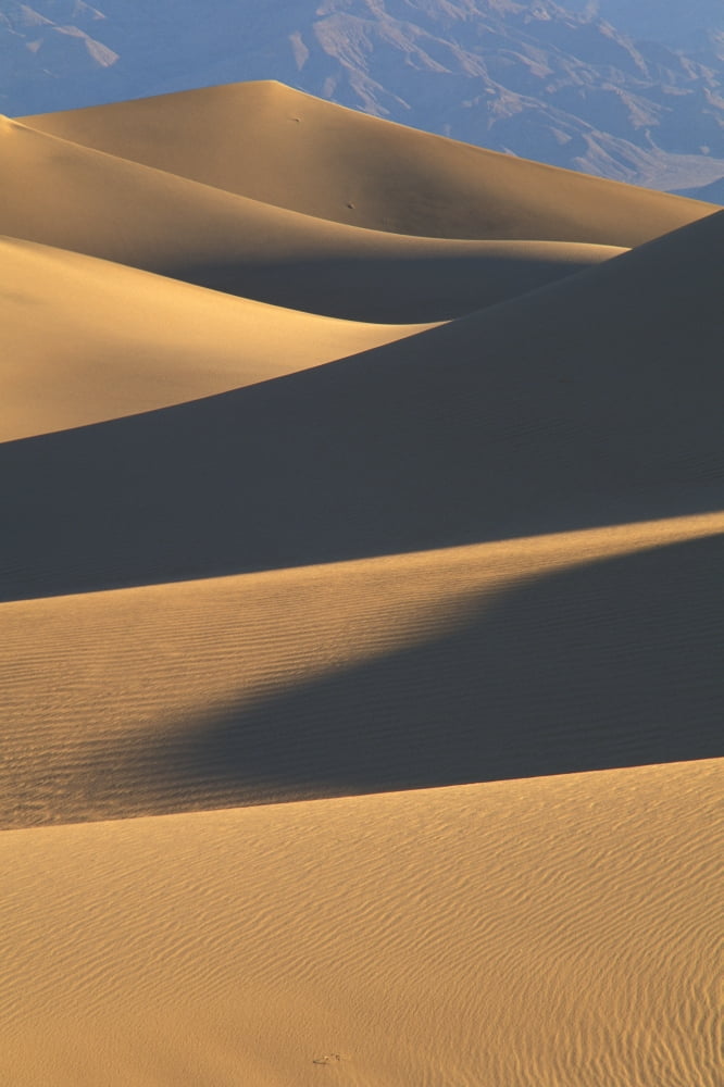 California Death Valley National Forest Mesquite Flat Sand Dunes Canvas Art - Greg Vaughn  Design Pics (11 x 17)
