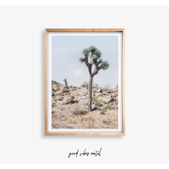 California Desert - Joshua Tree Photography - Desert Tree Poster - Desert Poster, Stretched Canvas Size 16x24