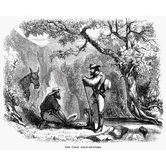 California Gold Rush. N'The First Gold-Hunters.' Prospectors In California. Wood Engraving. Poster Print by