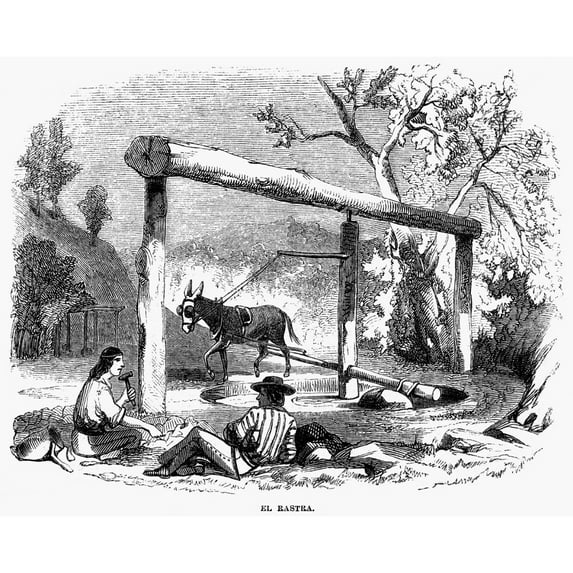California Gold Rush. Nan Arrastra A Mill For Grinding Quartz To Isolate The Gold In It. Wood Engraving 1860. Print by