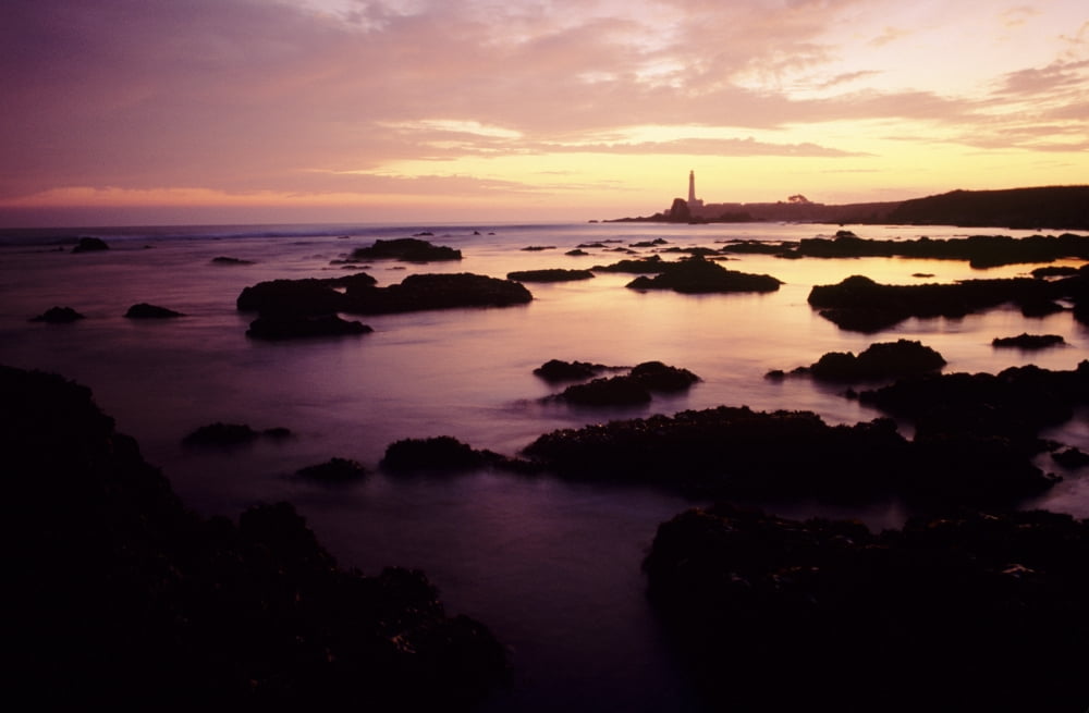 California Highway 1 Rocky Seascape And Cabrillo Lighthouse At Sunset Canvas Art - Peter French Design Pics (17 x 11)