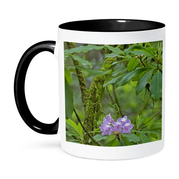3drose, California, Jedediah Smith Redwoods, Redwood Trees and Rhododendrons, 15oz Two-tone Black Mug