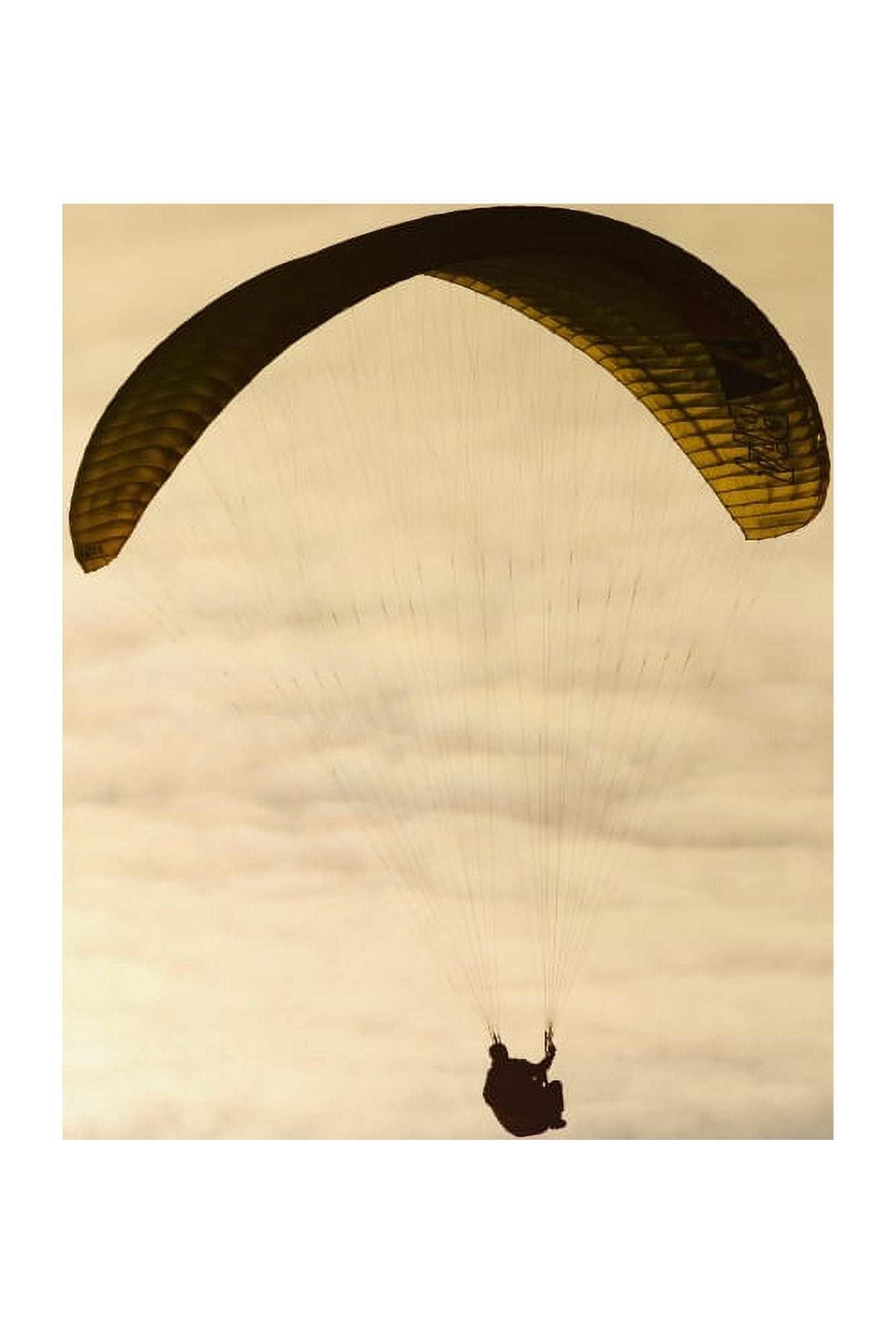California La Jolla Paraglider flying in front of vibrant sunset EDITORIAL USE ONLY Canvas Art - MakenaStockMedia Design Pics (12 x 19)