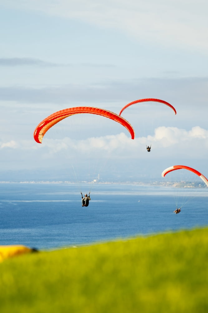 California La Jolla Paragliders Flying Over The Coast For Editorial Use Only Canvas Art - MakenaStockMedia Design Pics (22 x 34)