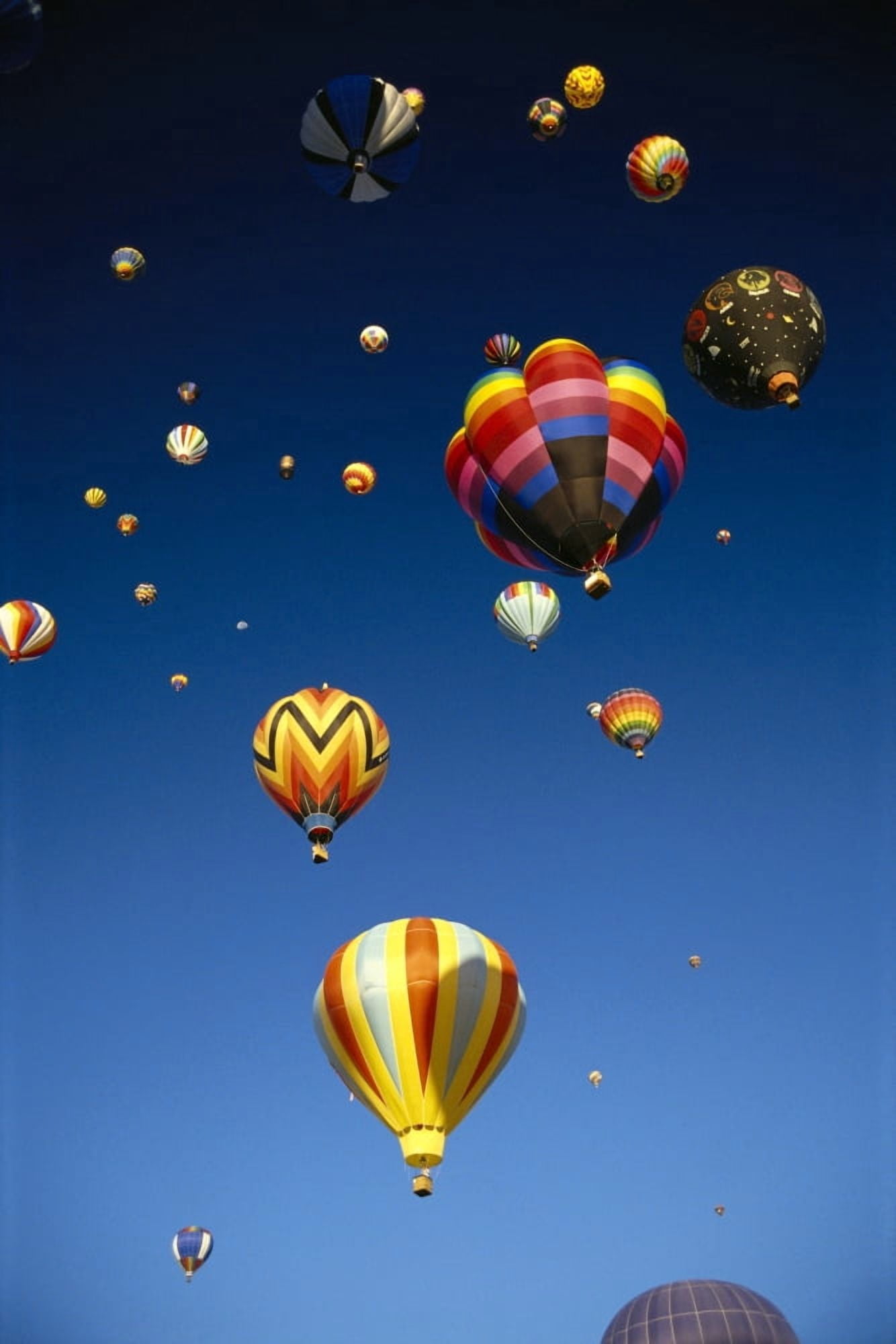 California Laguna Hot Air Balloons In Flight B1242 Canvas Art - Michael Howell Design Pics (12 x 19)