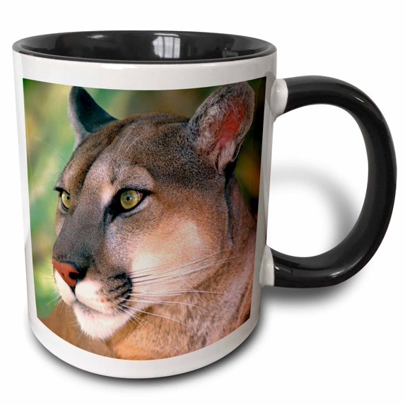 3drose, California, Mountain Lion, Wildlife Waystation - Us05 Bja0224 - Jaynes Gallery, 15oz Two-tone Black Mug