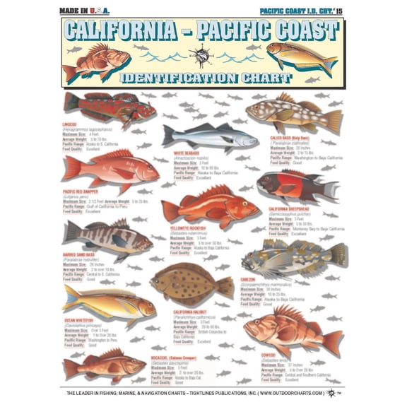 California to Pacific Coast Fish Identification #15 - Waterproof Quick Reference Guide | Portable & Built to Last | Double-Sided & Easy to Read | (Size, Weight, Location, Food Quality, and Coloring)