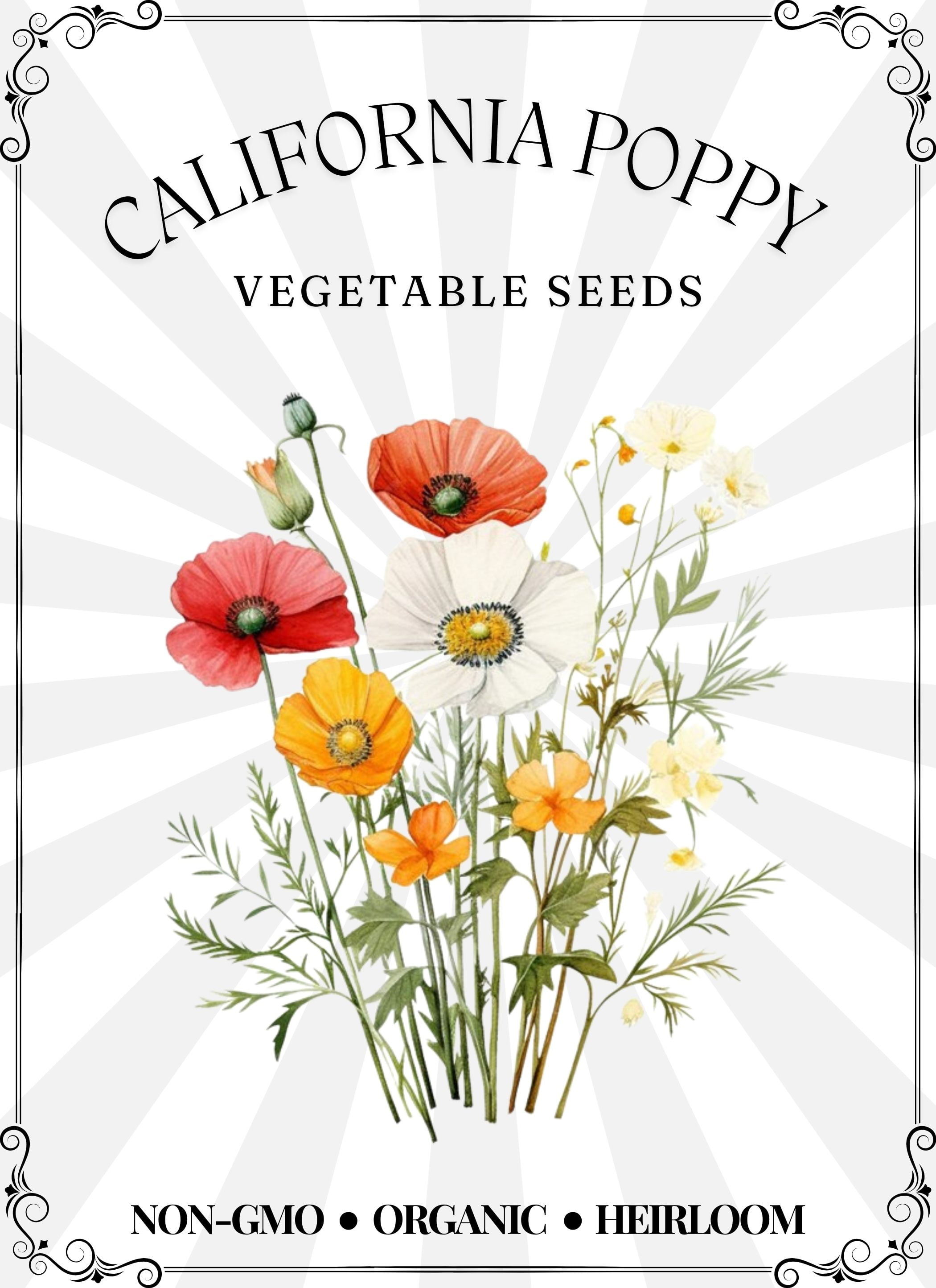 California Poppy (300 Unit) NonGMO Organic Fresh FastGrowing