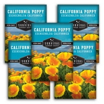 California Poppy - 5 Pack - Non-GMO Heirloom Wildflower Full Sun Annual Flower
