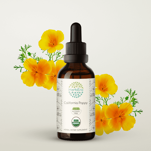 HerbEra California Poppy Tincture, Organic Herbal Dietary Supplement for Calming Support, Certified Organic California Poppy (Eschscholzia californico) Dried Herb Extract, Natural, Alcohol-Free, 2 oz