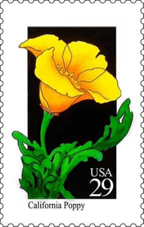 California Poppy Canvas Art - US POSTAL SERVICE (24 x 36)