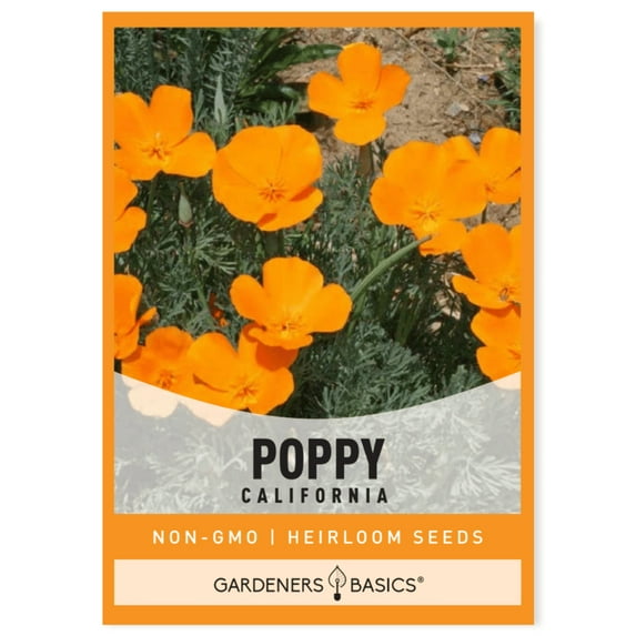 California Poppy Seeds