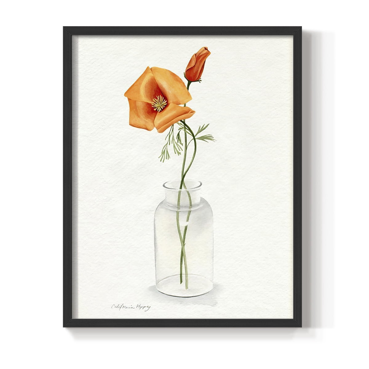 California Poppy Vase I Framed Print in Black Solid Wood Framed Print No Nail Hanging