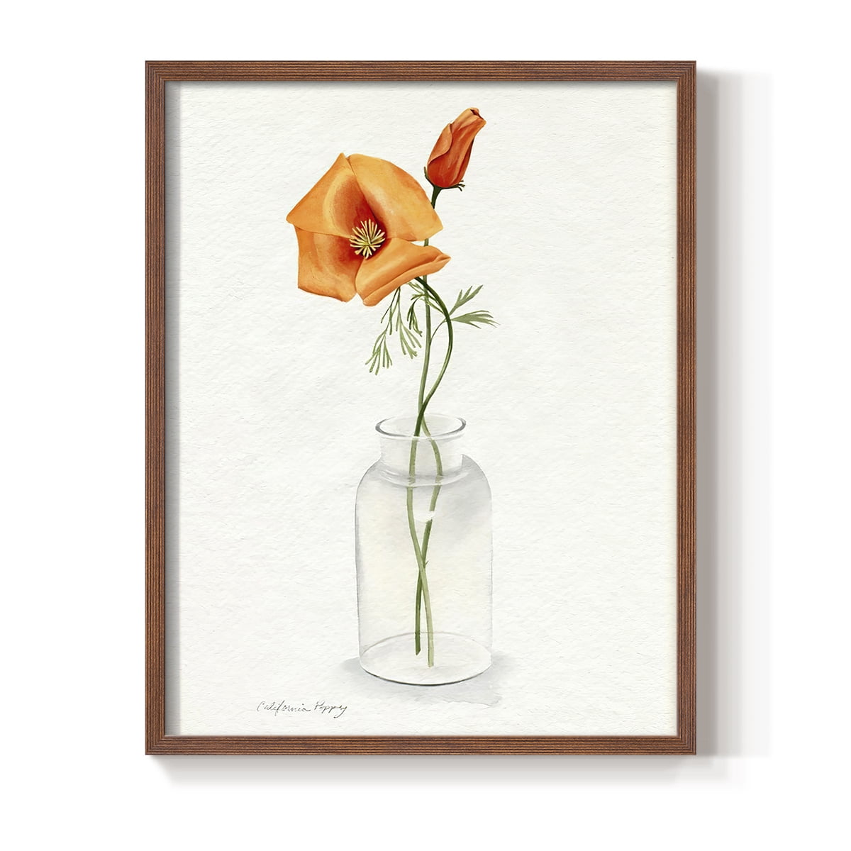 California Poppy Vase I Framed Print in Brown Solid Wood Framed Print No Nail Hanging