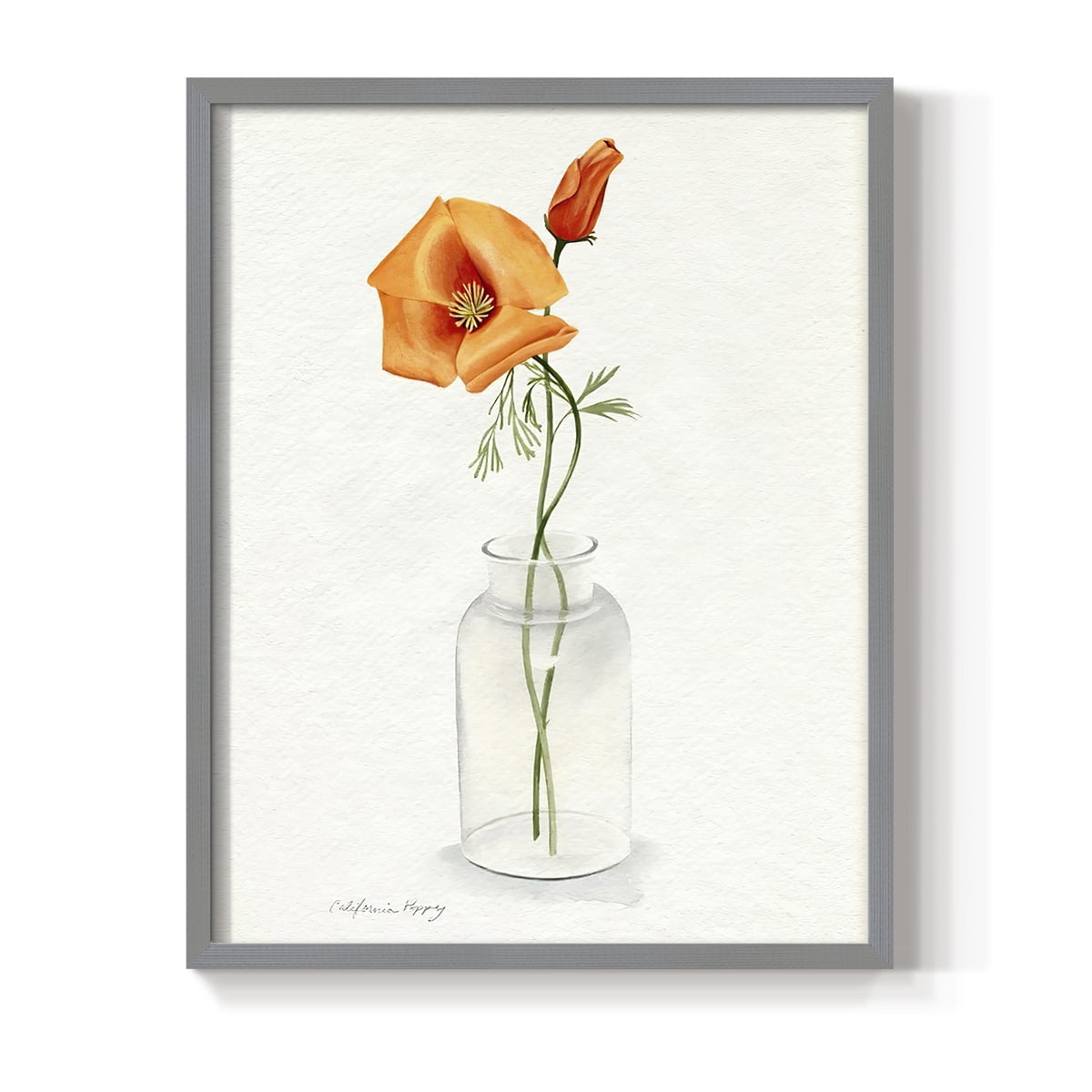 California Poppy Vase I Framed Print in Gray Solid Wood Framed Print No Nail Hanging