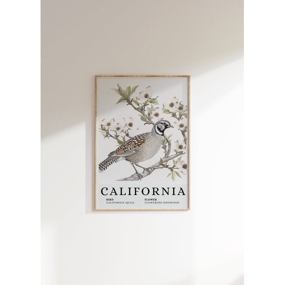 California Quail & Dogwood Art Poster: State Bird Wall Decor, Unframed Poster Size 8x12