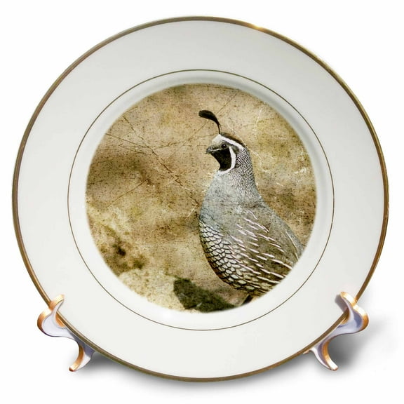 3dRose, California Quail With Textures, 8 inch Porcelain Plate