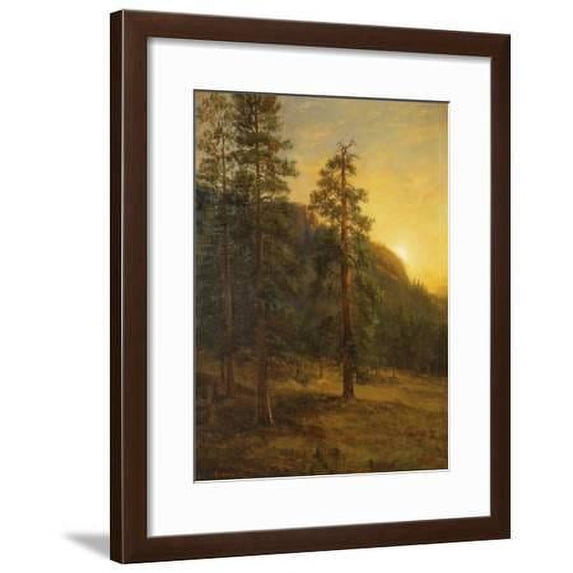 California Redwoods, 1872, Botanical Scenic Framed Art Print Wall Art by Albert Bierstadt Sold by Art.Com